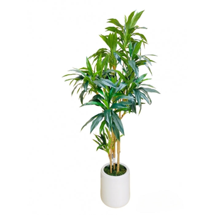 ARTIFICIAL DRACAENA PLANT