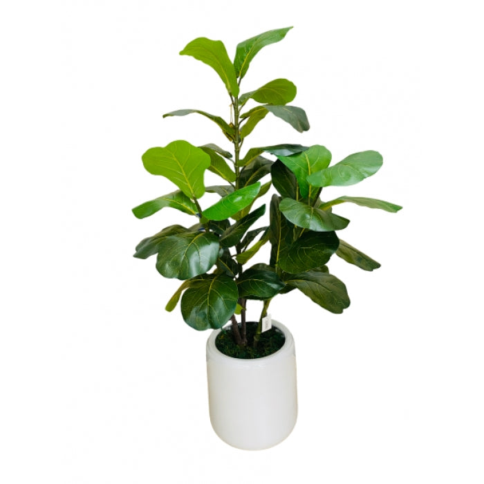 ARTIFICIAL FICUS PANDURATA HANCE