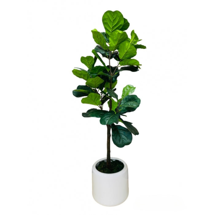 FIDDLE LEAF TREE